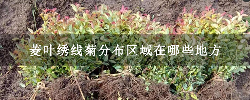 菱叶绣线菊分布区域在哪些地方