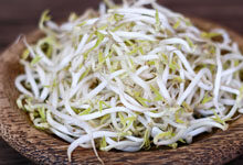 绿豆芽菜怎么种