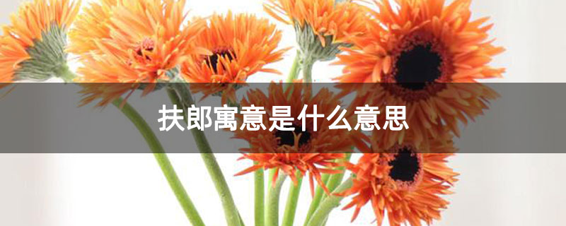 扶郎寓意是什么意思