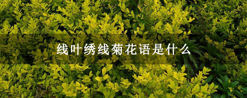 线叶绣线菊花语是什么