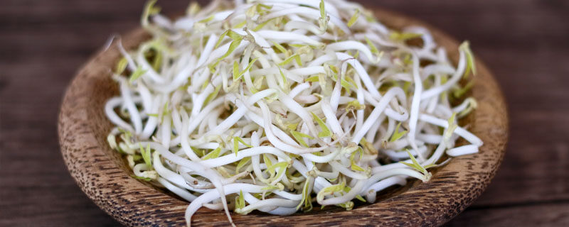 豆芽.jpg